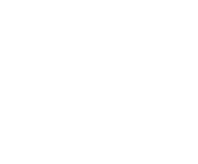 Evolution games at Crypto Wild Casino